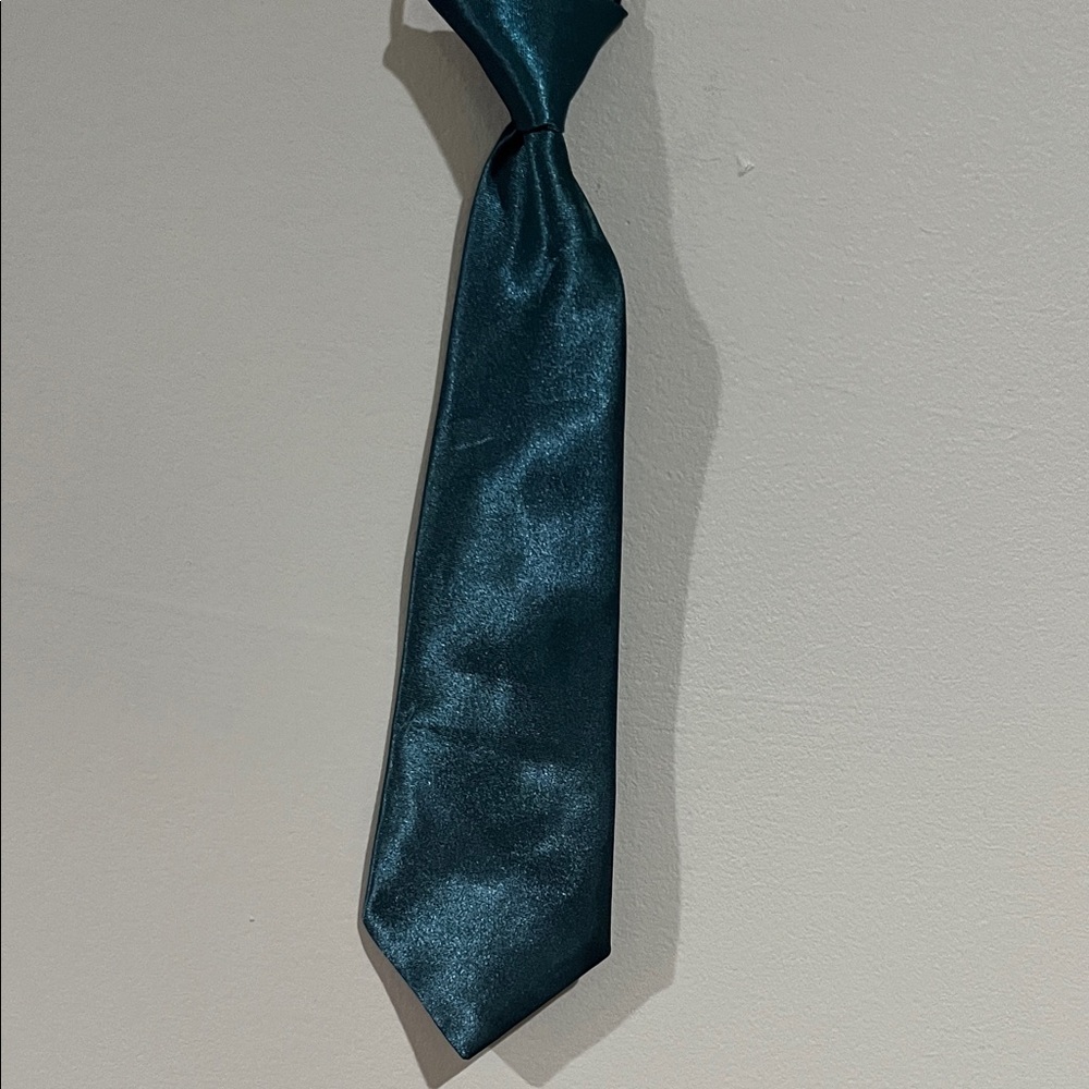 6/$25Stylish Teal and Multicolor Dogs ties Bag NWOT - Picture 2 of 11